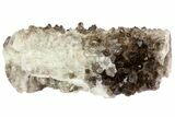 Gorgeous, Smoky Quartz Crystal Cluster - Brazil #79937-2